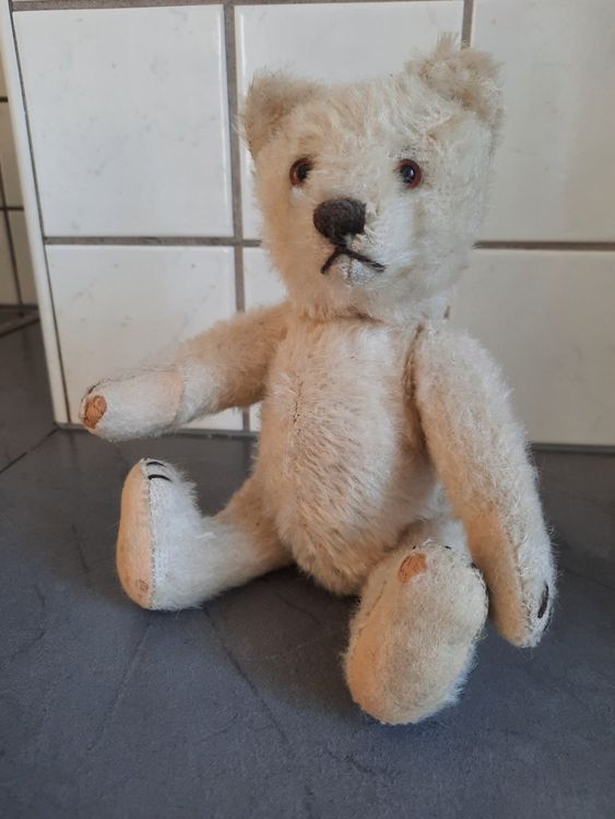 Ours Steiff Blanc Mohair – Années 1950 – 23 Cm – Avec Bouton D’oreille