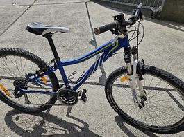 Fahrrad 26-Zoll