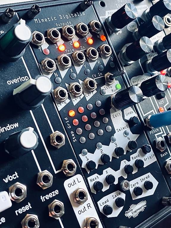 Strumenti musicali: Mimetic Digitalis Eurorack Module – Usato da Courroux venduto da RT82 1