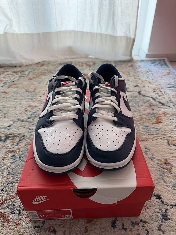 Herrenschuhe: Nike Dunk Low Valerian Blue  – Gebraucht aus Balerna von Ascanio2007 2