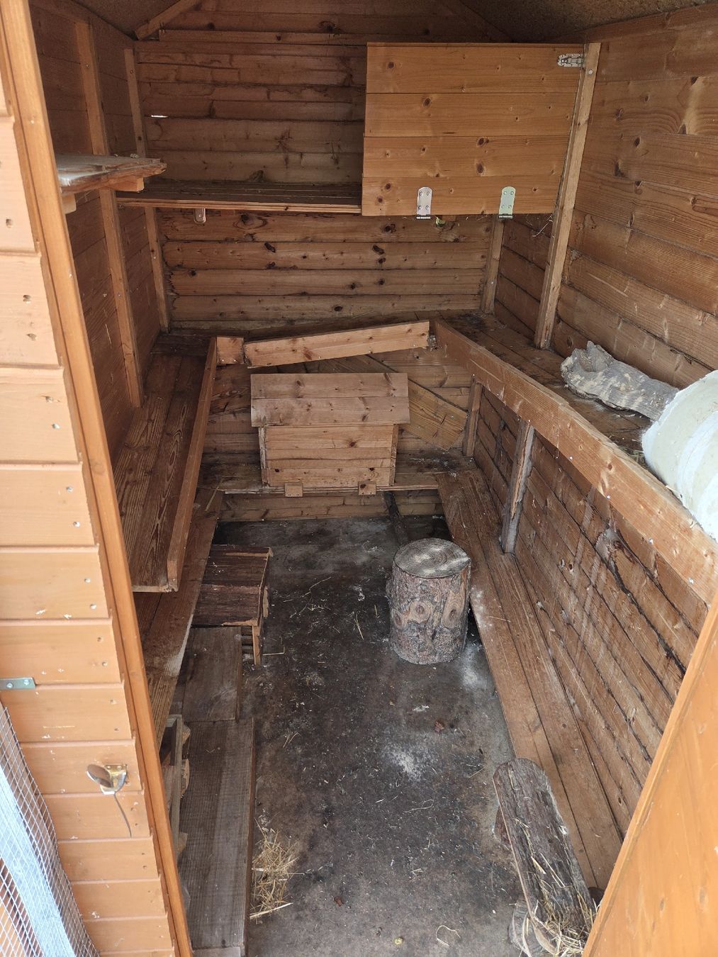 Gabbie, trasporto & Sicurezza: Hasenstall outdoor – Usato da Wetzikon ZH venduto da Chanchi 4