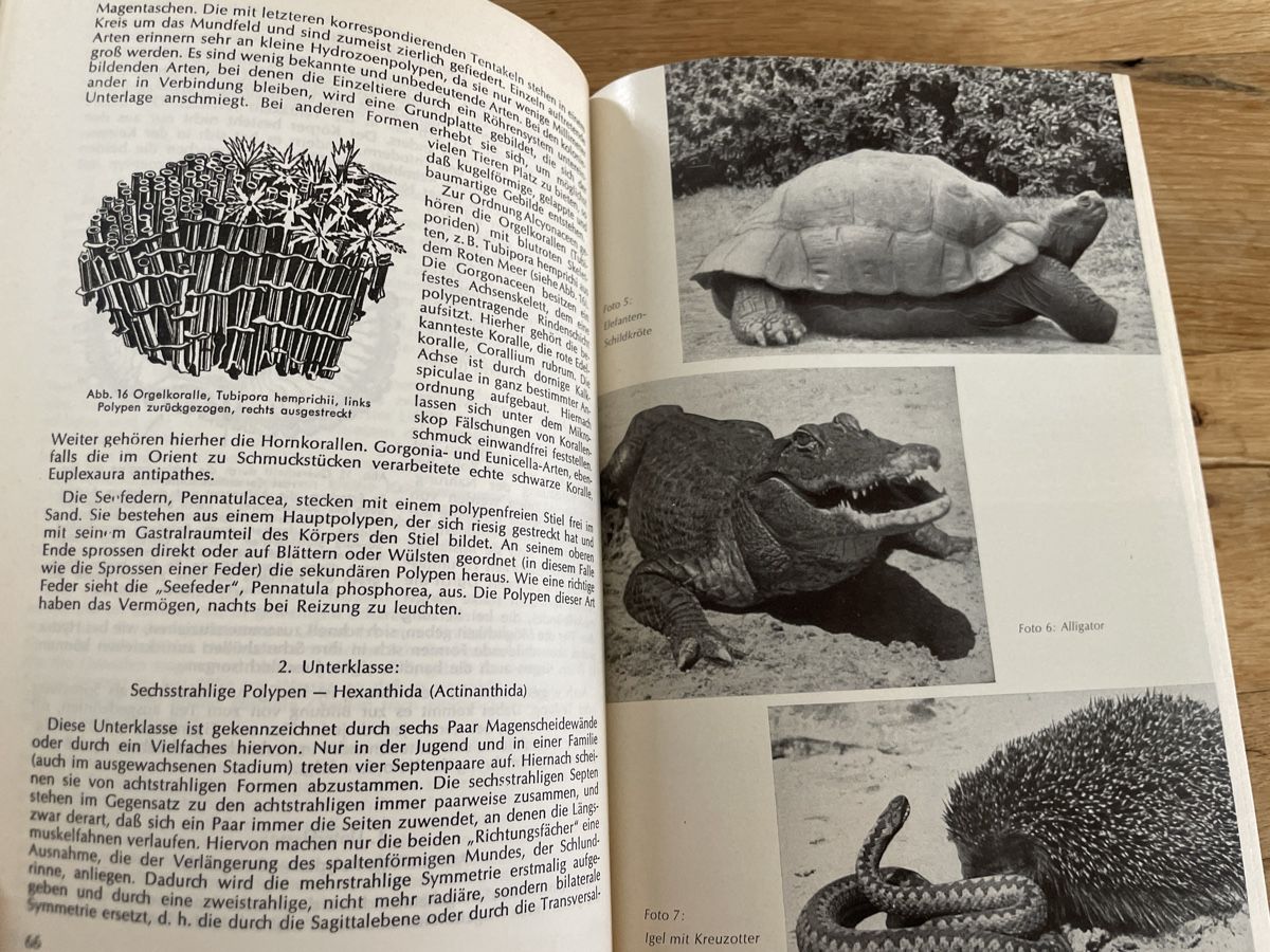 Libri: Die Tierwelt nach Brehm - Dr. Rudolf Barth – Usato da Winterthur venduto da cheerio97 6