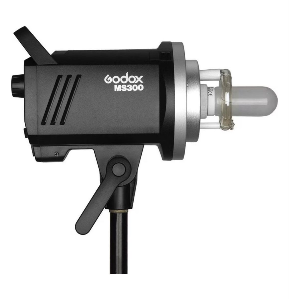 Godox Blitze: Godox MS300 Blitz-kit  mit Softboxen und Tasche fast Neu – Gebraucht aus St. Gallen von Costy02 2