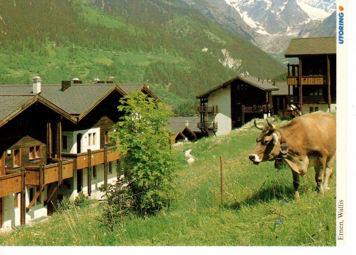 Cartoline postali: Ernen Wallis – Usato da Wolhusen venduto da Curver9