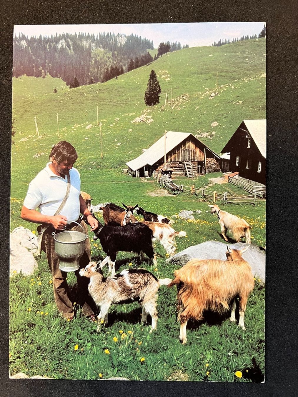 Cartes postales: Ansichtskarte: Schweiz – D'occasion à Widnau par Brusi9