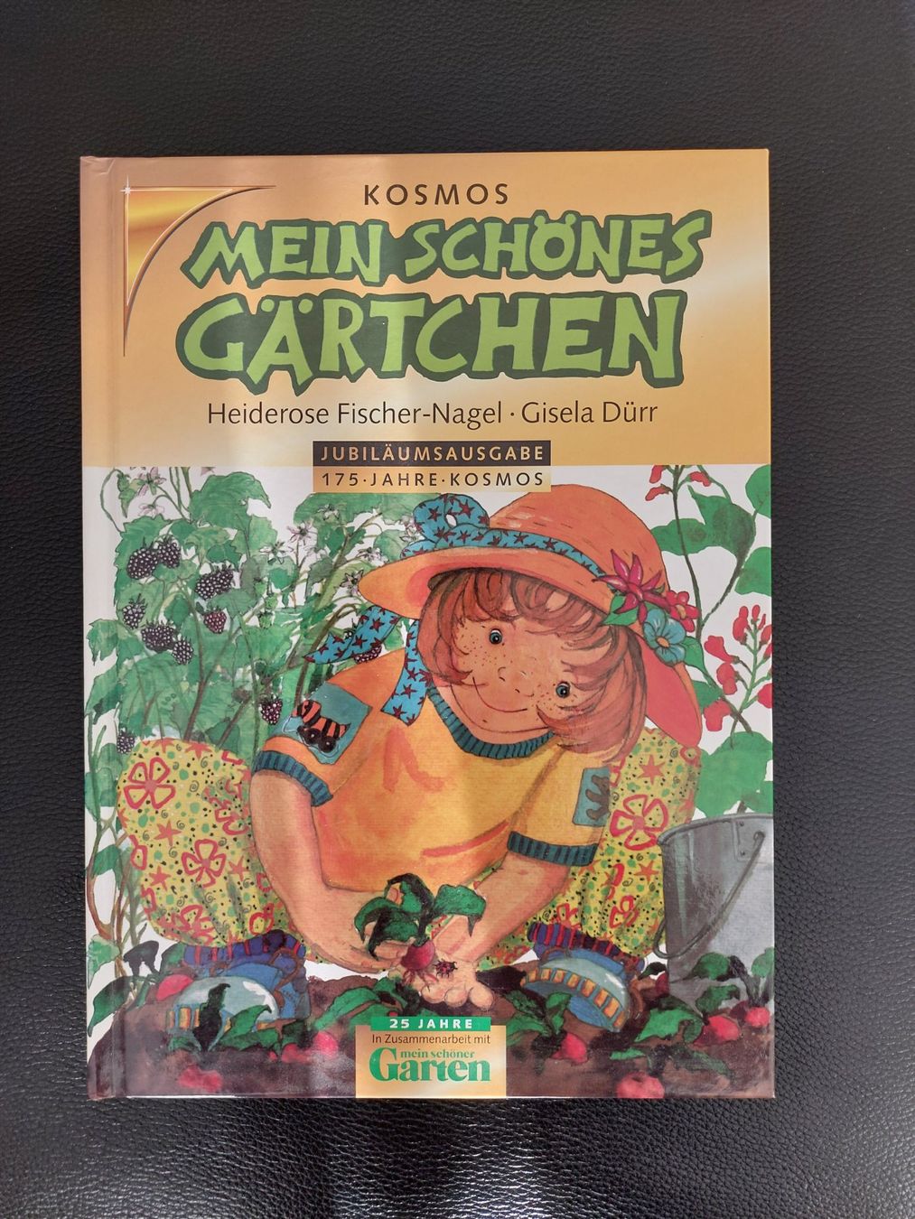 Bücher: Kinderbuch – Gebraucht aus Schmitten von JasiStern