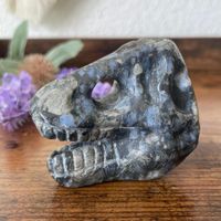 ✲ Que Sera T Rex Schädel ✲ 104g / 55mm Rhyolith Skull Kopf
