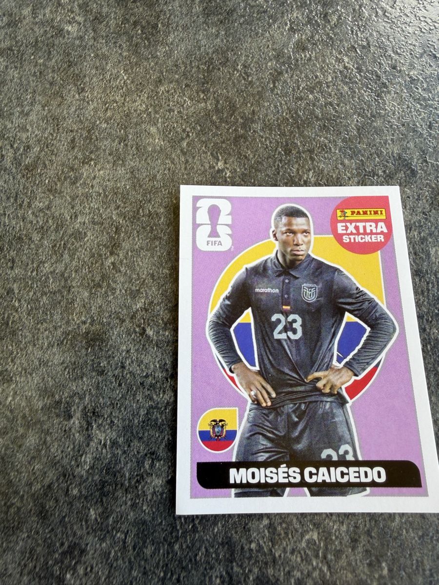 Panini Sammelbilder & Trading cards: 9 diverse Extra Sticker 5 Regular 3 Bronze 1 Gold – Neu (gemäss Beschreibung) aus Thayngen von ricarda82 2