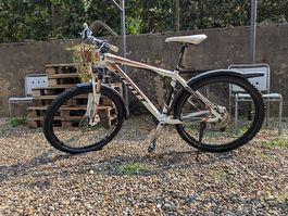 Scott Aspect 20