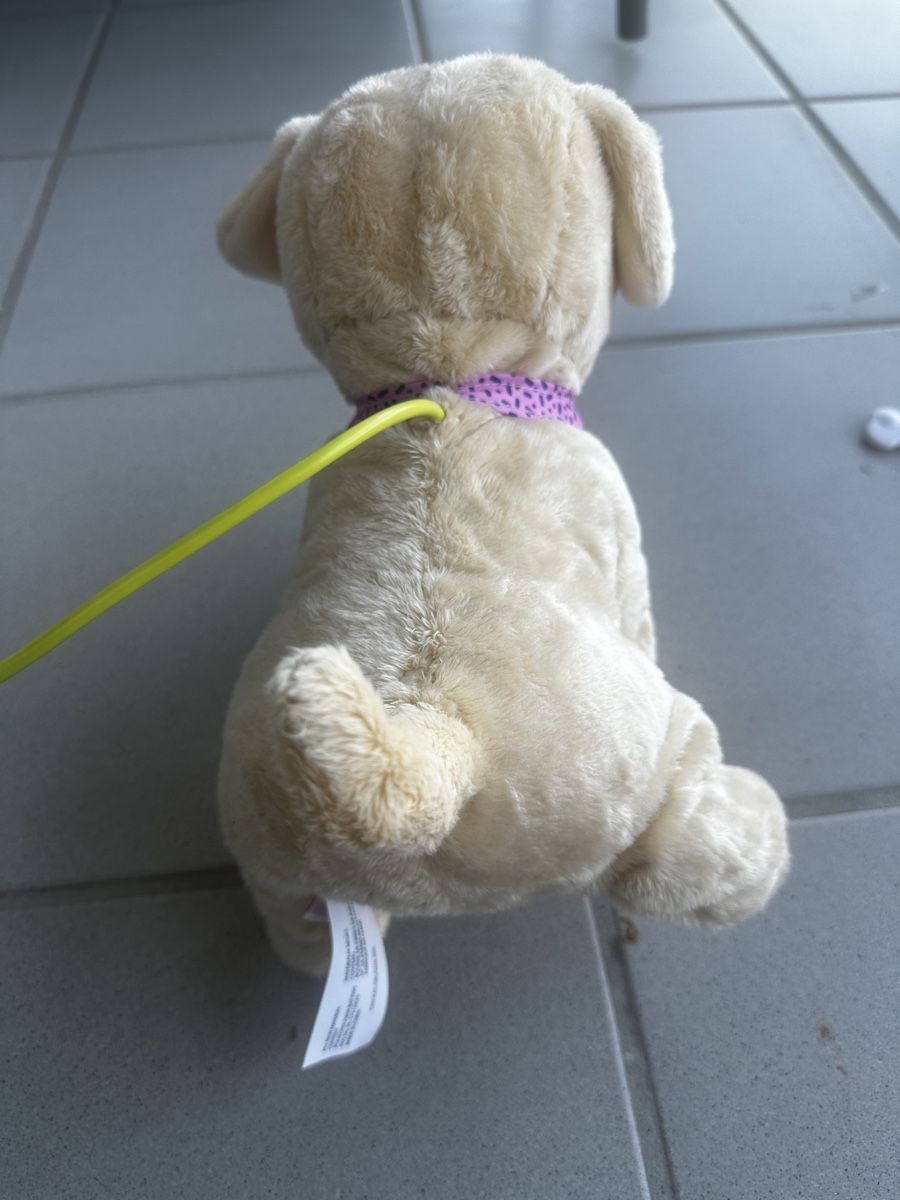 Giocattoli: Baby Born Hund Lucky – Usato da Forch venduto da sv94 6