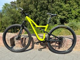Specialized Rumor Expert 29 – Grösse M