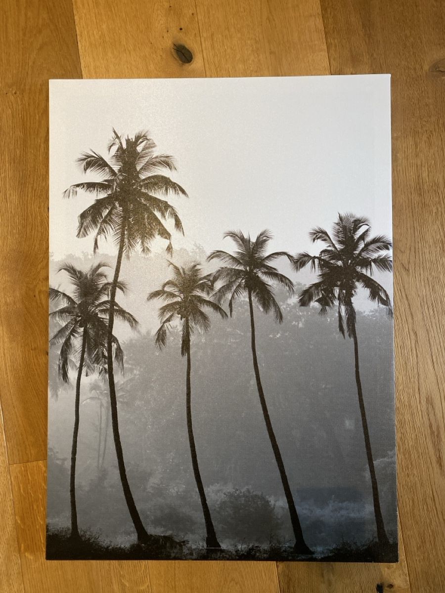 Posters & Illustrations: Palmenbild, Leinwandbild – Neuf (Voir description) à Wetzikon ZH par purple_44
