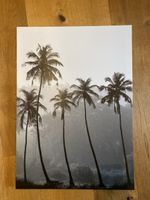 Palmenbild, Leinwandbild