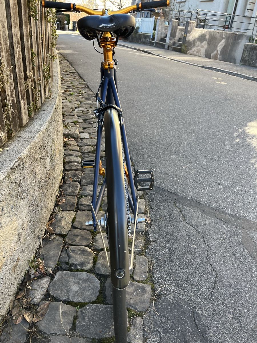 Biciclette: Elegantes Stadt Velo – Usato da Bern venduto da fel_r5br 6