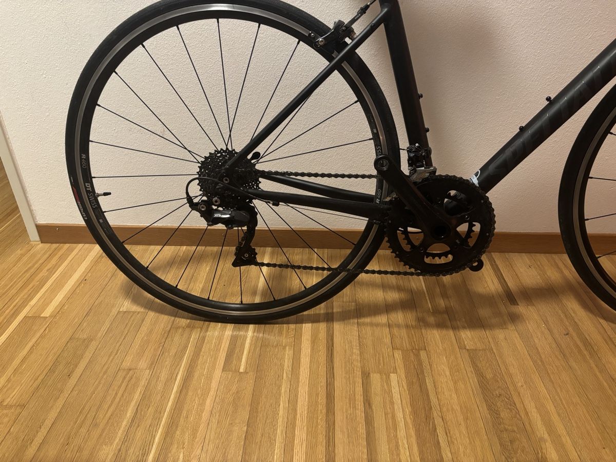 Specialized Velos: Specialized Allez Elite 56 neuwertig – Gebraucht aus Luzern von  1
