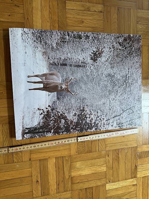 Poster & Bilder: Bild Elch mit Leuchtfunktion – Gebraucht aus Gebenstorf von Silversalmon 2