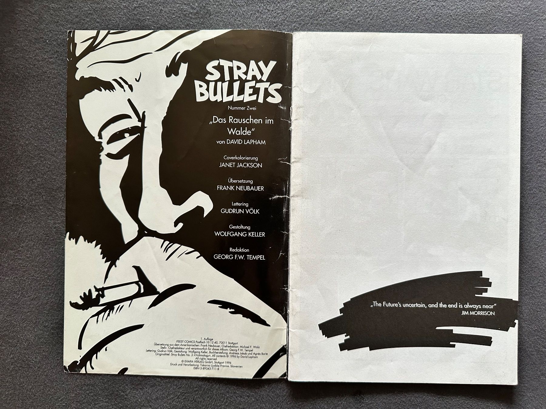 Fumetti: STRAY BULLETS HEFT 2 und 4, DAVID LAPHAM, FEEST COMICS – Usato da Münsingen venduto da Ganjam 3