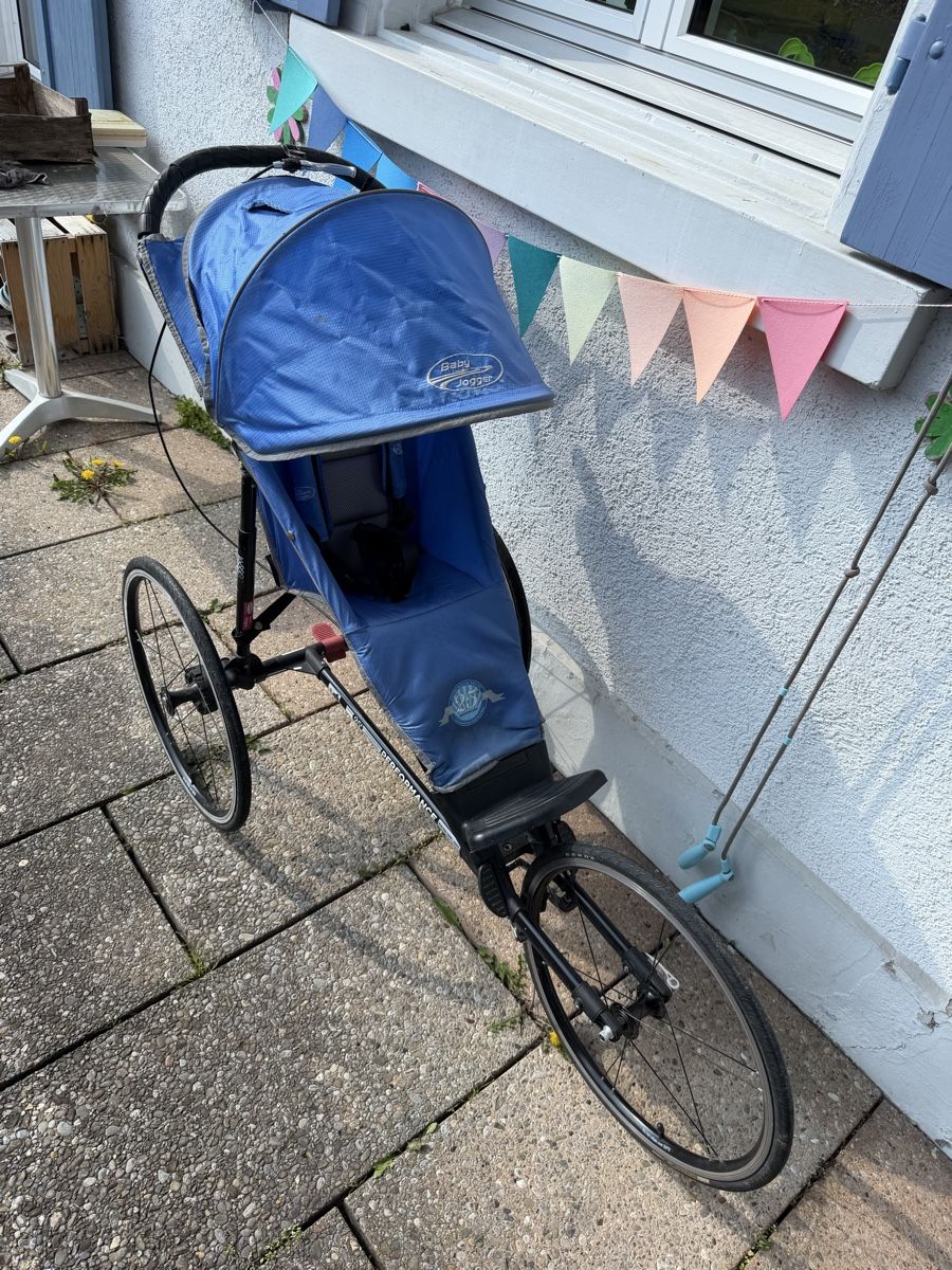 Baby Jogger Carrozzine: Kinderwagen Buggy Babyjogger – Usato da Effretikon venduto da Saendu24 4