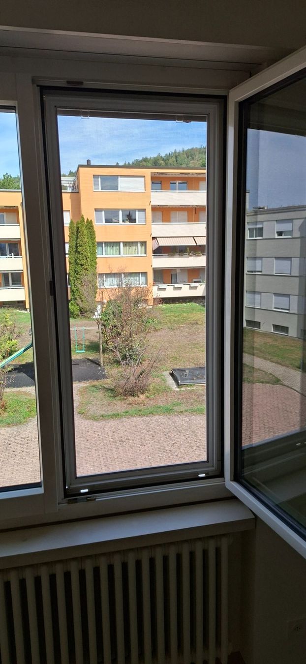 Fenster: Insektenfenster – Neu (gemäss Beschreibung) aus Bubikon von Mis_nl7l 1
