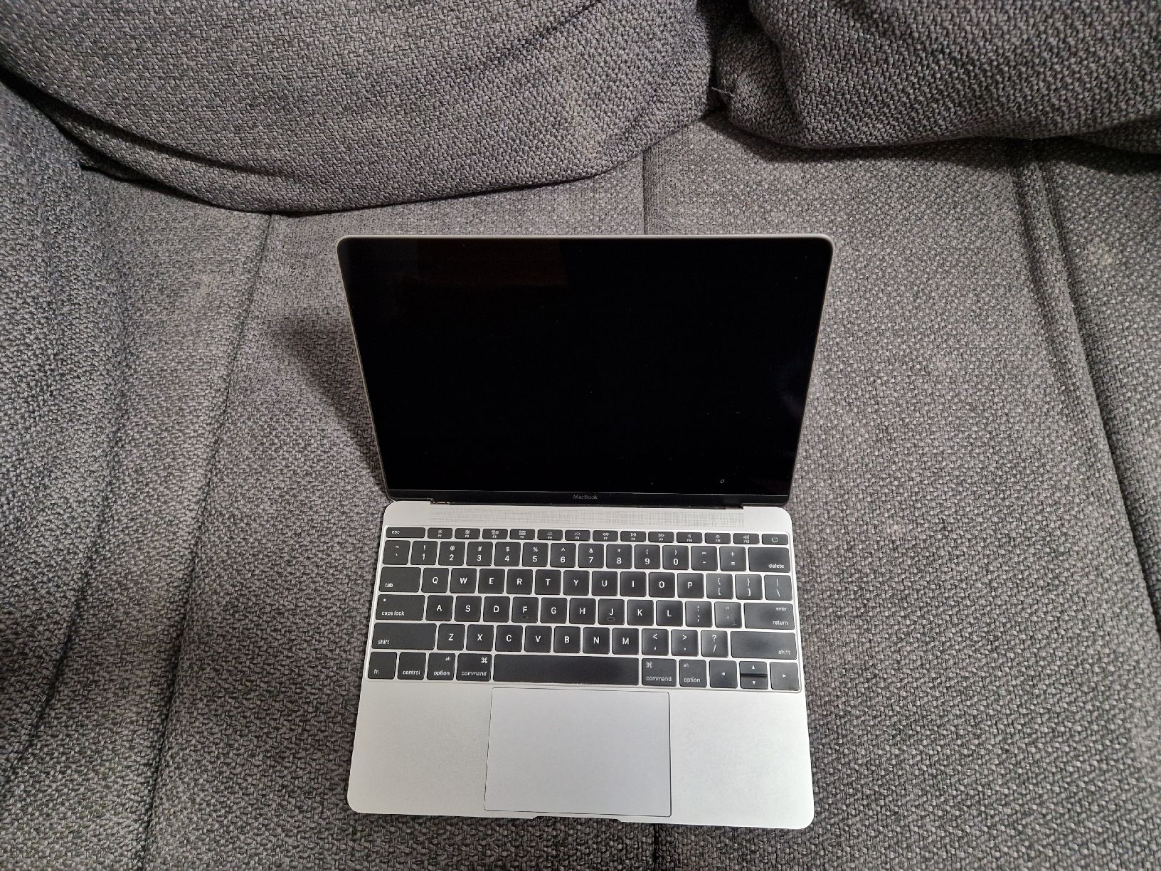 Apple Notebook: Macbook 12" pour pièces : écran + châssis – Usato da Peseux venduto da katja.vit