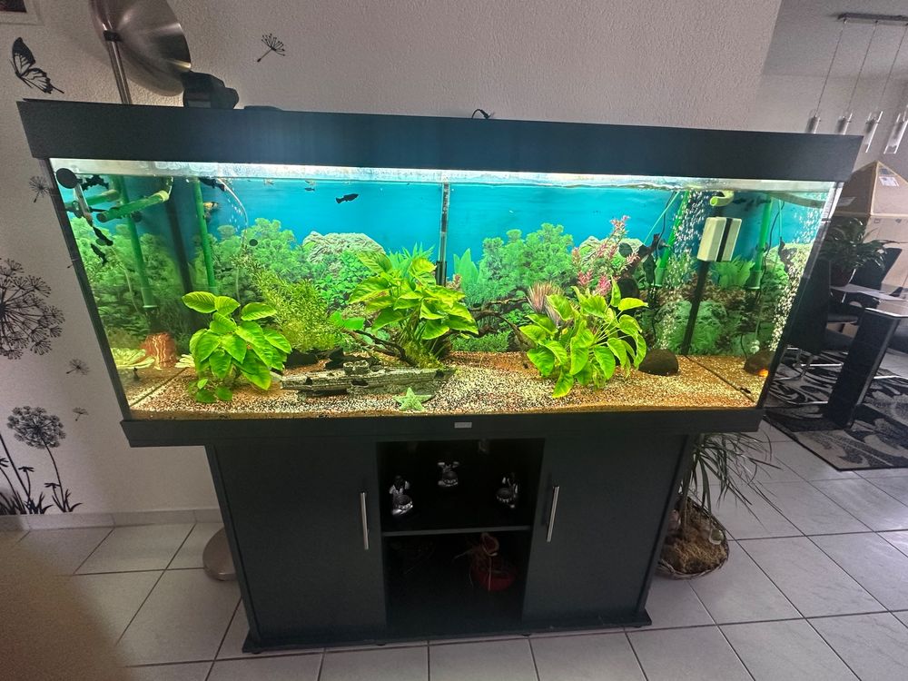 Juwel Aquarium 450l zu verkaufen. newest