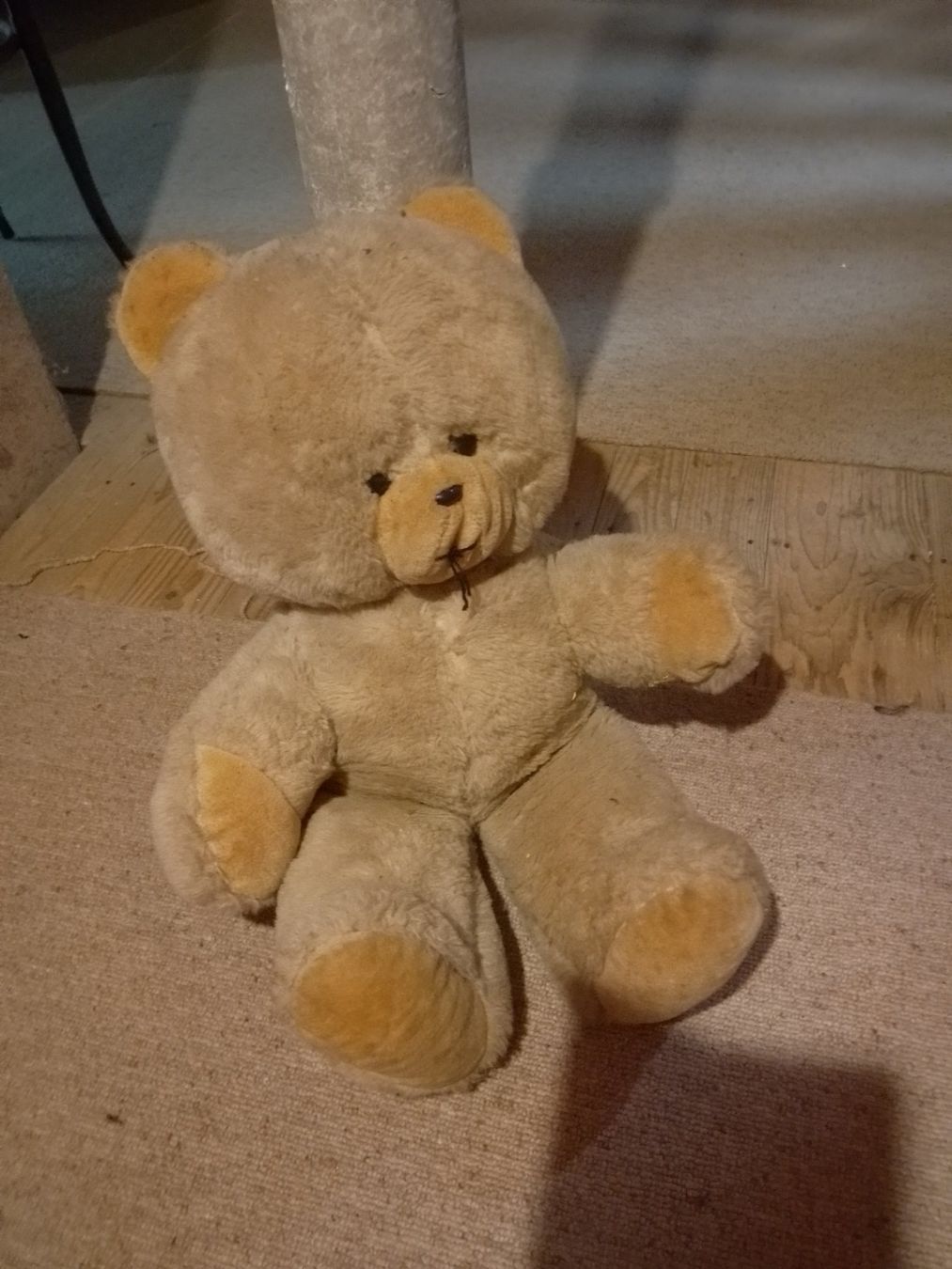 Giocattoli: Schöner Teddybär – Usato da Weinfelden venduto da PaterPio1968