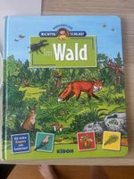 Kinderwissen: Richtig schlau im Wald Buch Klappen zum Entdec