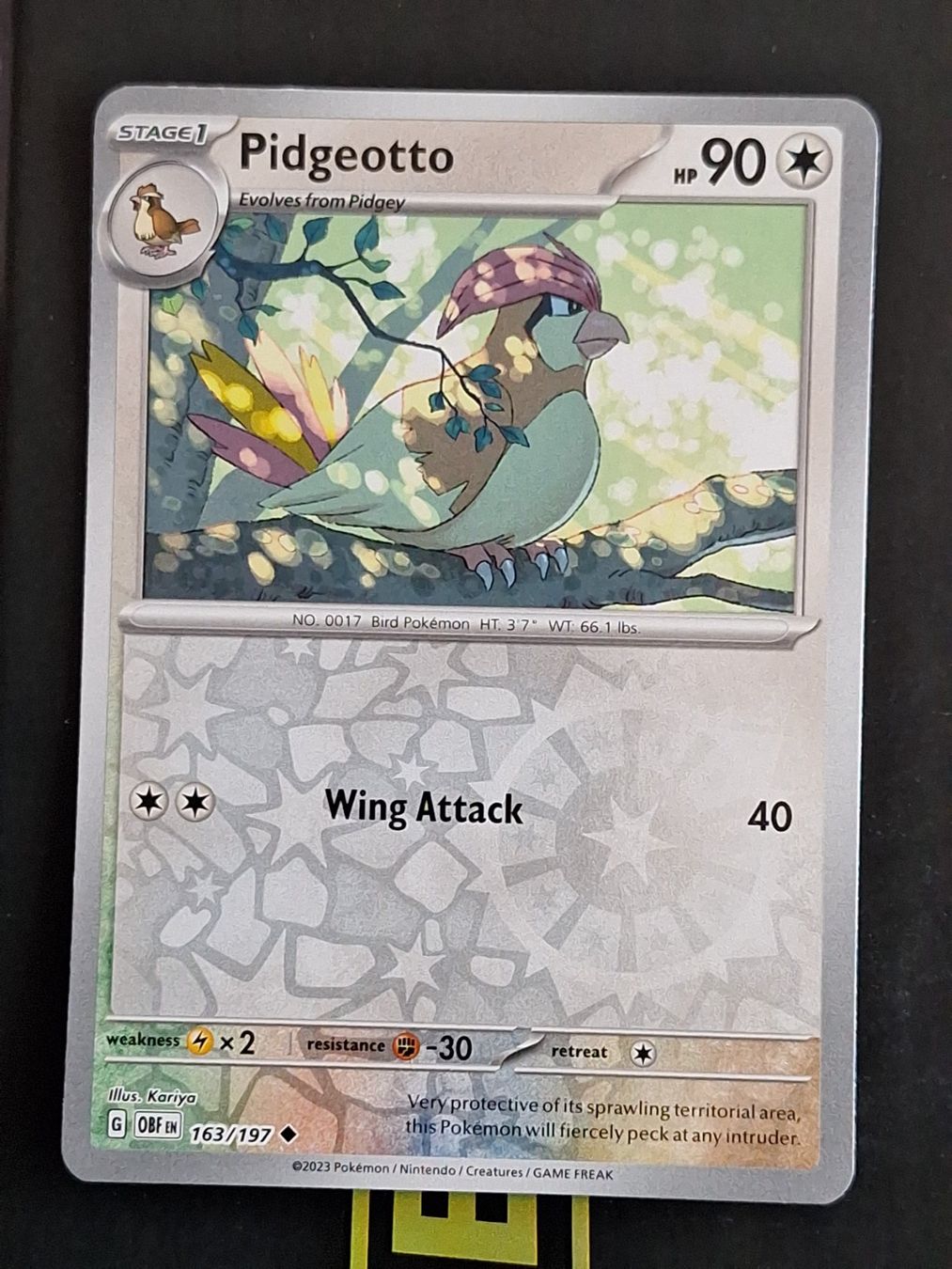 Pokémon Carte collezionabili: Pidgeotto - Pokemon Reverse Holo Obsidian Flames – Usato da Altstätten SG venduto da GGsGameshop