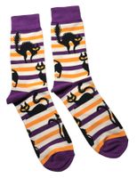 Socken Katzen/Cats
