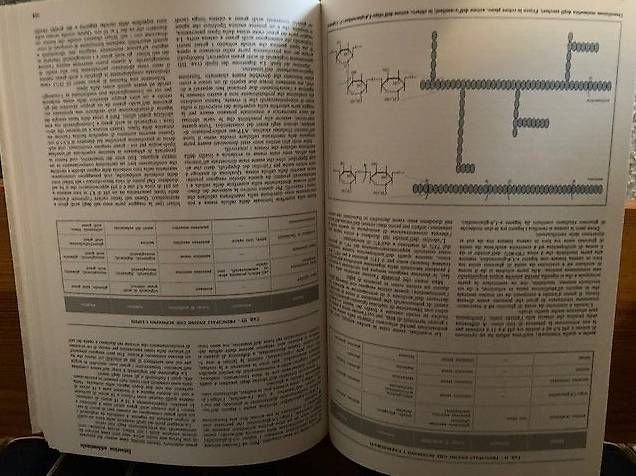 Libri: Enciclopedia della Scienza e della Tecnica – Usato da Pollegio venduto da david1970 3