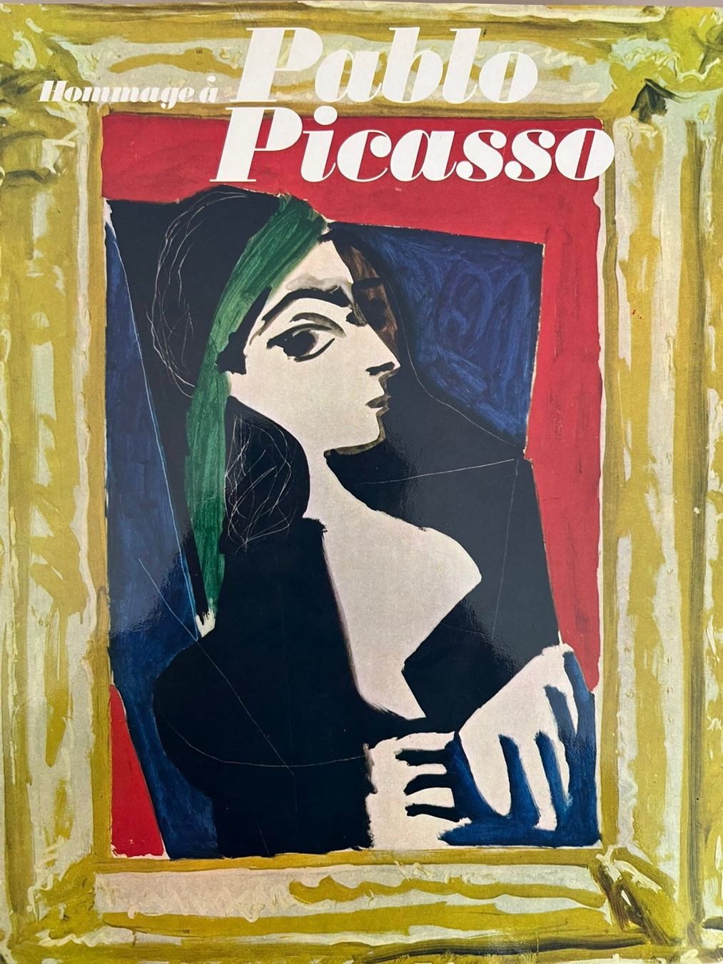 Libri: Pablo Picasso – Usato da Muri AG venduto da bimasent
