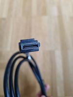 Display Port Kabel