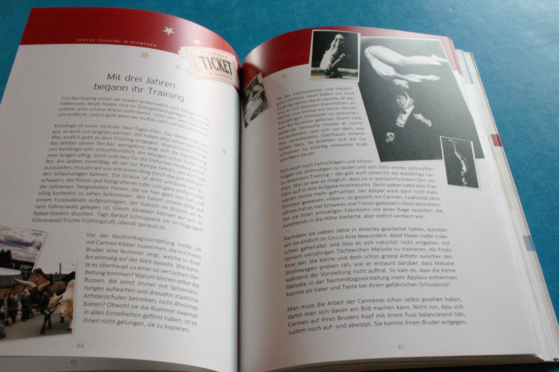 Libri: Zirkus Circus Mit Sandry nach Schweden – Usato da Winkel venduto da franzxaver60 3