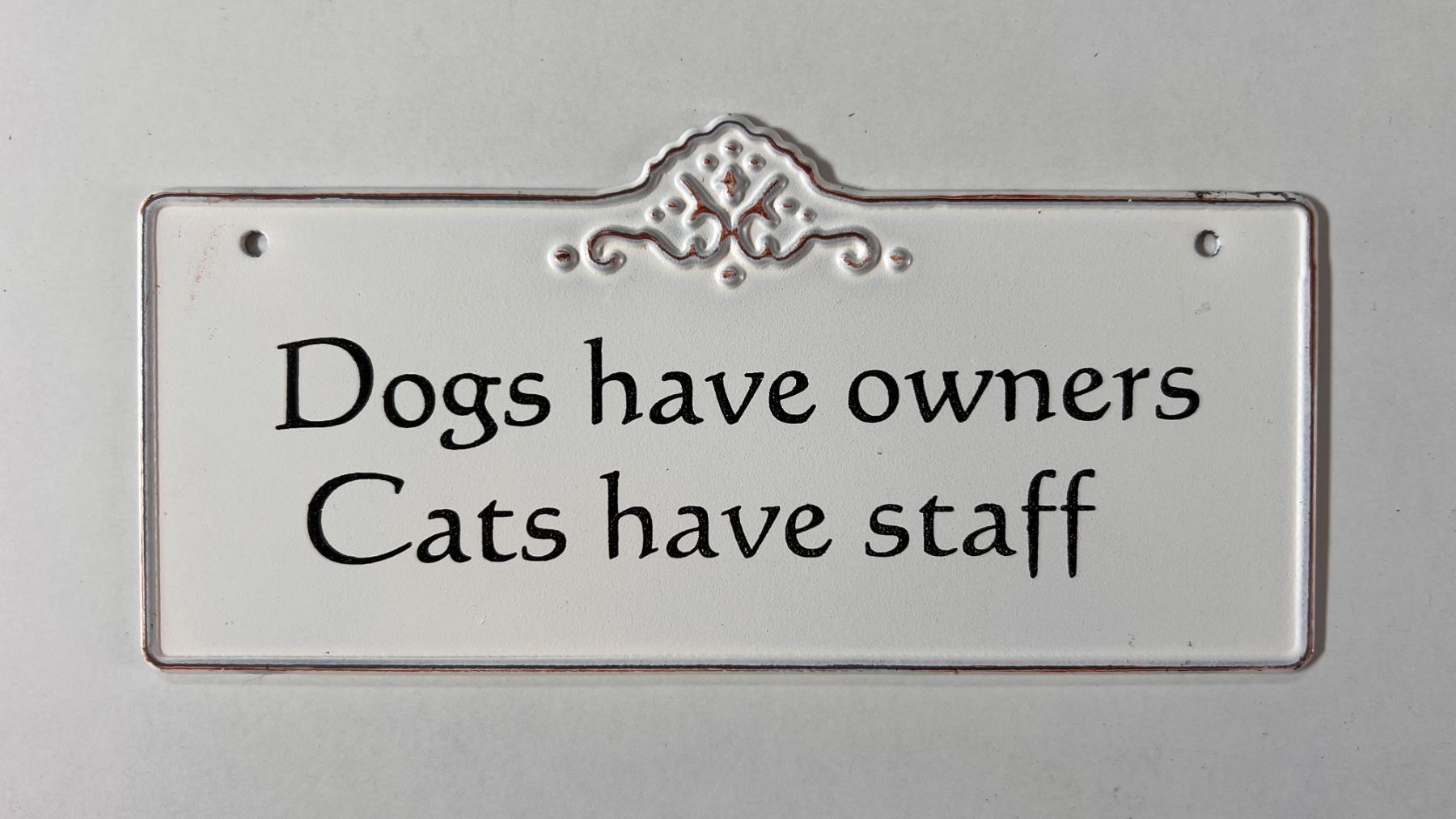 Schilder: Hund und Katze Schild - Lustiger Spruch für Tierfreunde! – Gebraucht aus Zeiningen von osm61