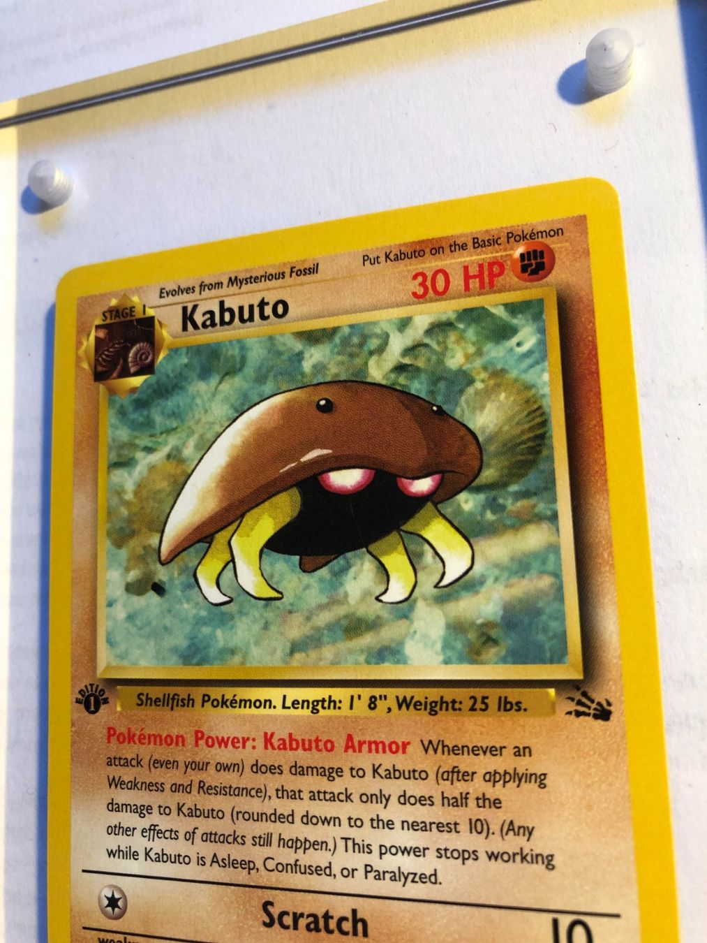 Carte collezionabili: Kabuto 1st Fossil - MINT - ab 1.- – Usato da Giubiasco venduto da dan_pr8b 3
