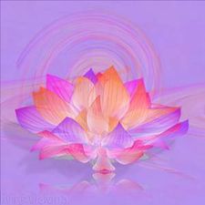 Profile image of Crystaliris