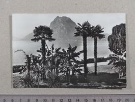 Lago di Lugano, Monte S. Salvatore, 1962