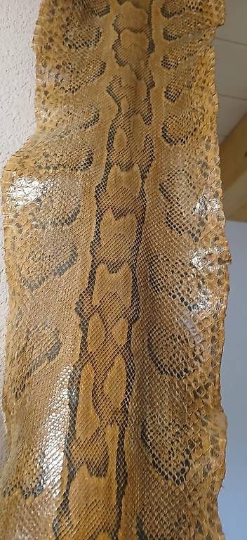 Monde des animaux: Pyton Schlangenhaut – D'occasion à Humlikon par kes_k6dl 1