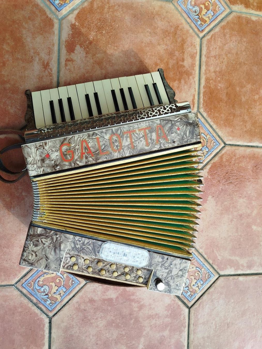 Strumenti musicali: Akkordeon Selbstspielend – Nuovo (secondo la descrizione) da Bonaduz venduto da Mikebond