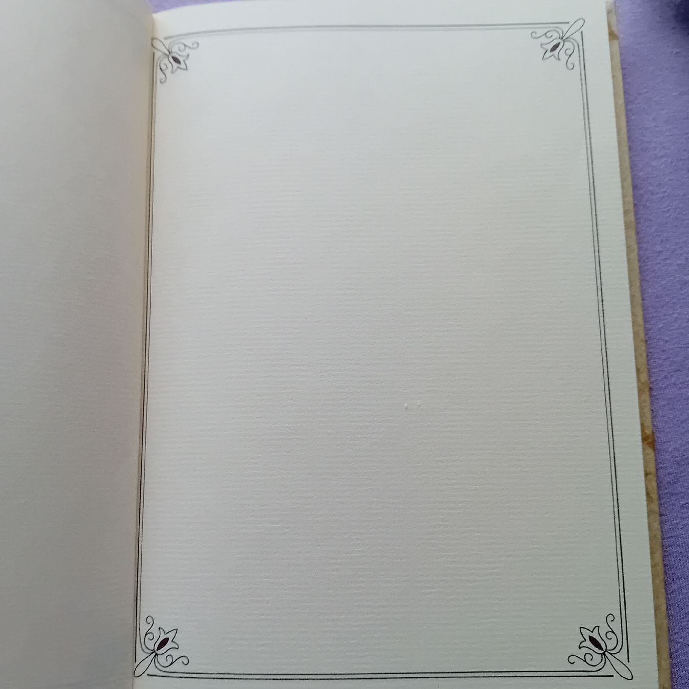 Libri: Tagebuch, nie gebraucht – Nuovo (secondo la descrizione) da Witterswil venduto da hele04 2