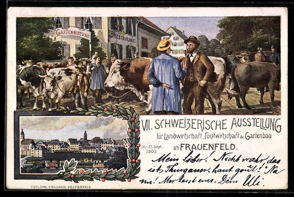 Ansichtskarten: Frauenfeld, VII. Schweizerische Ausstell – Gebraucht aus Berlin von bartko-reher