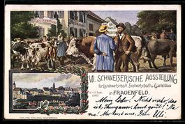 Frauenfeld, VII. Schweizerische Ausstell