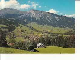 Lenk 1981