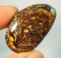 Australischer Koroit Opal 55.85Cts.