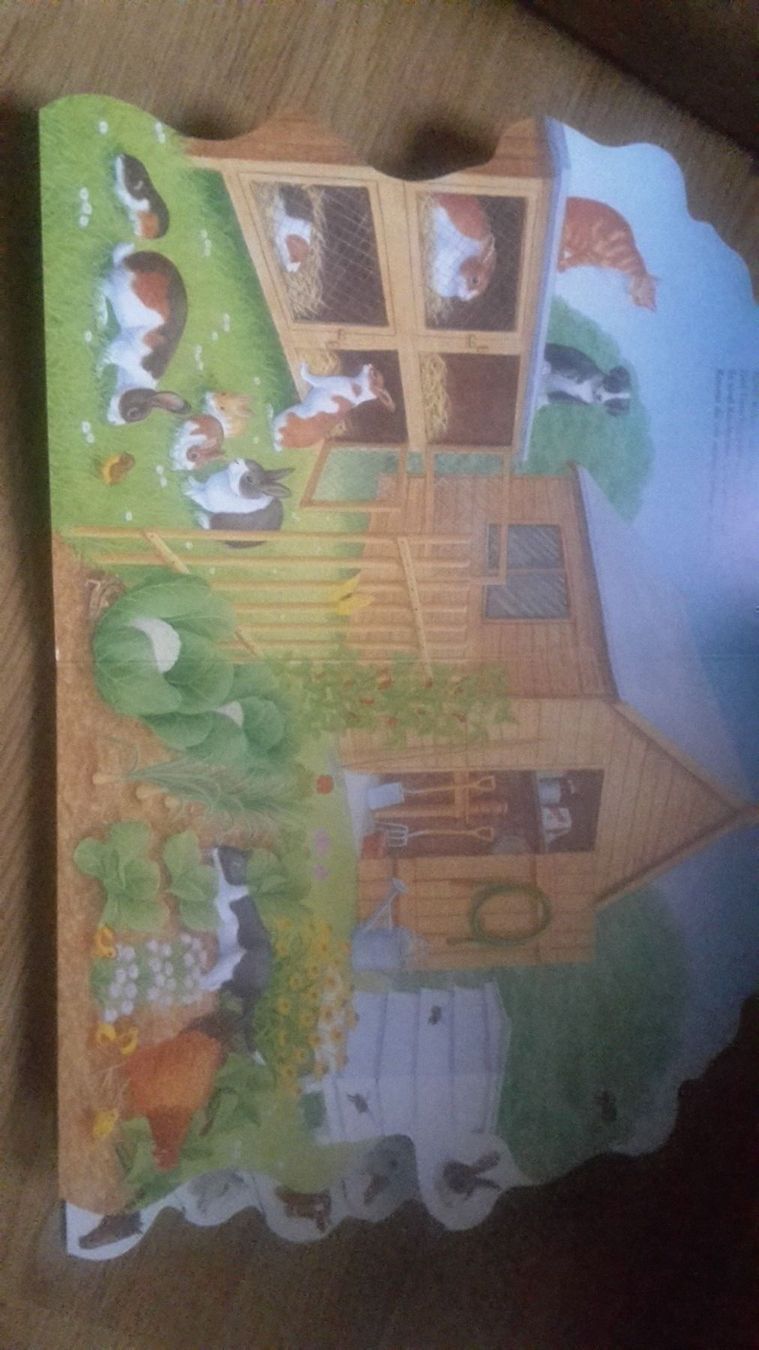 Libri: Wer wohnt auf dem Bauernhof – Nuovo (secondo la descrizione) da Schwarzenburg venduto da Flamingo07 1