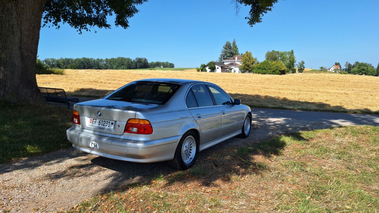 BMW Automobili: BMW 525i E39 2002 – Usato da Fribourg venduto da Ertug 1