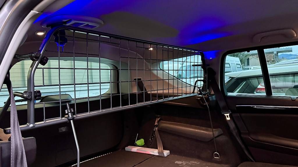 Gabbie, trasporto & Sicurezza: Trenngitter / Schutzgitter Renault Espace – Usato da Rorschach venduto da EnnosFlohmarkt 3