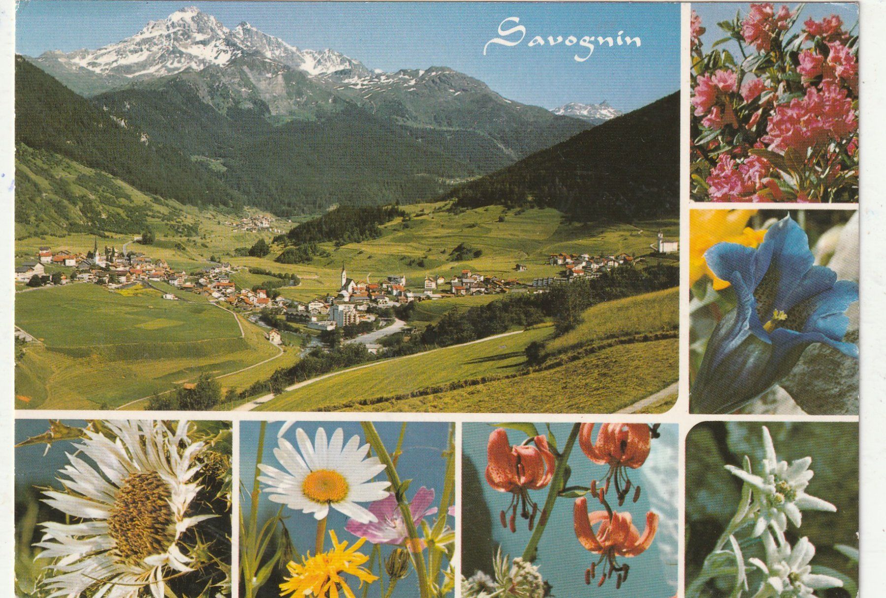 Ansichtskarten: 10 AKK. Sedrun-Disentis-Falera-Bivio-Vals-Bernina etc – Gebraucht aus Lumbrein von made02 2