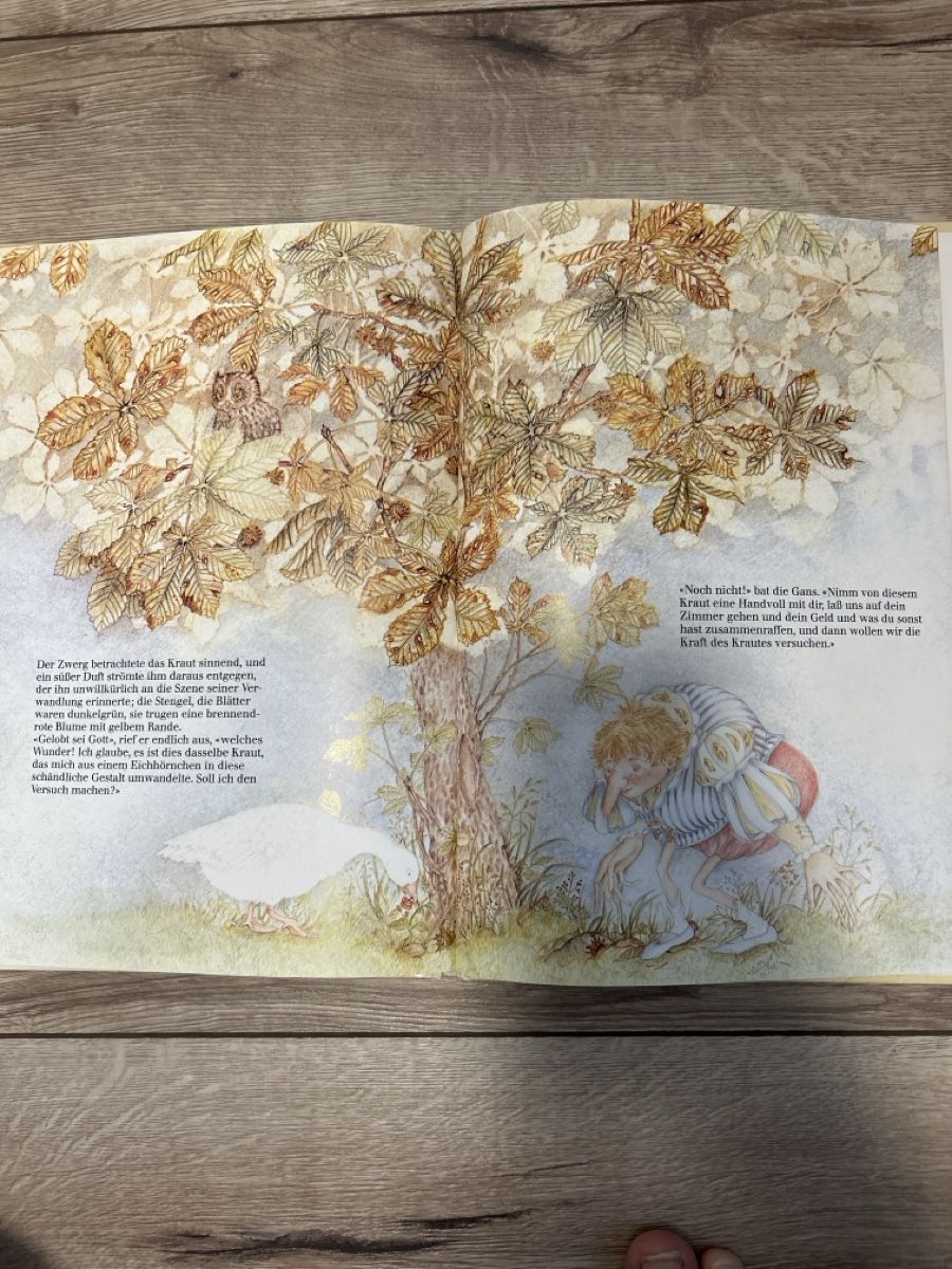 Libri: Zwerg Nase – Usato da Maienfeld venduto da Jasmin_laeser 7