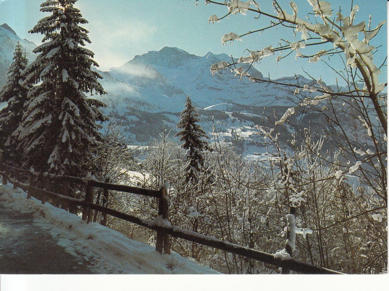 Cartoline postali: Wengen 1988 – Usato da Bürglen TG venduto da StampGraf